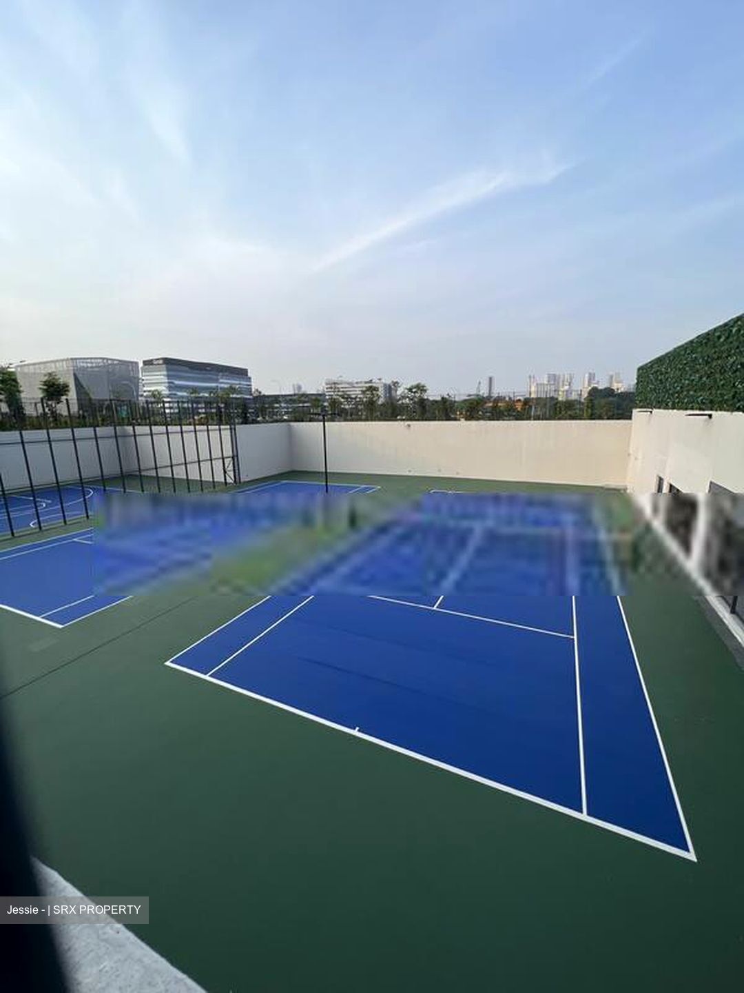 Normanton Park (D5), Apartment #411921211